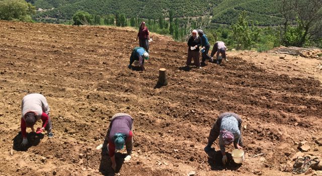 Çiftçi Kadınlar Günü Kutlu Olsun.