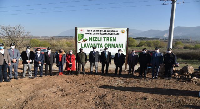 Manisa Hızlı Tren Güzergâhına 20.000 Lavanta Fidanı Dikildi