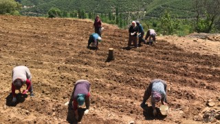 Çiftçi Kadınlar Günü Kutlu Olsun.