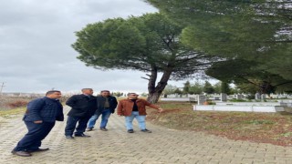 Mezarlıkları Büyükşehir'in Yetiştirdiği Çiçekler Süslüyor